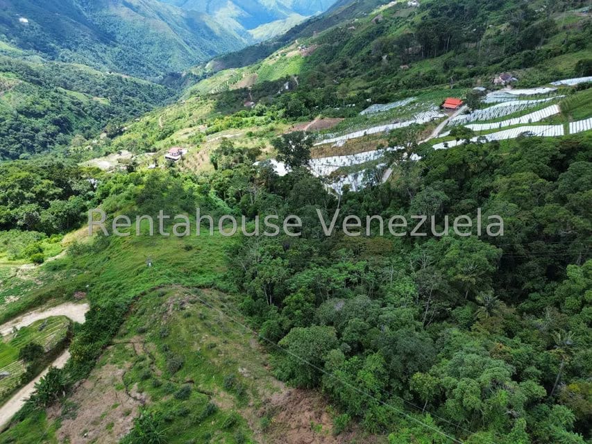 Terreno (Comercial) en Venta en La Colonia Tovar, Aragua - 49
