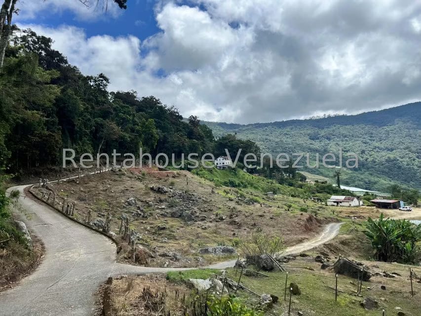 Terreno (Comercial) en Venta en La Colonia Tovar, Aragua - 6