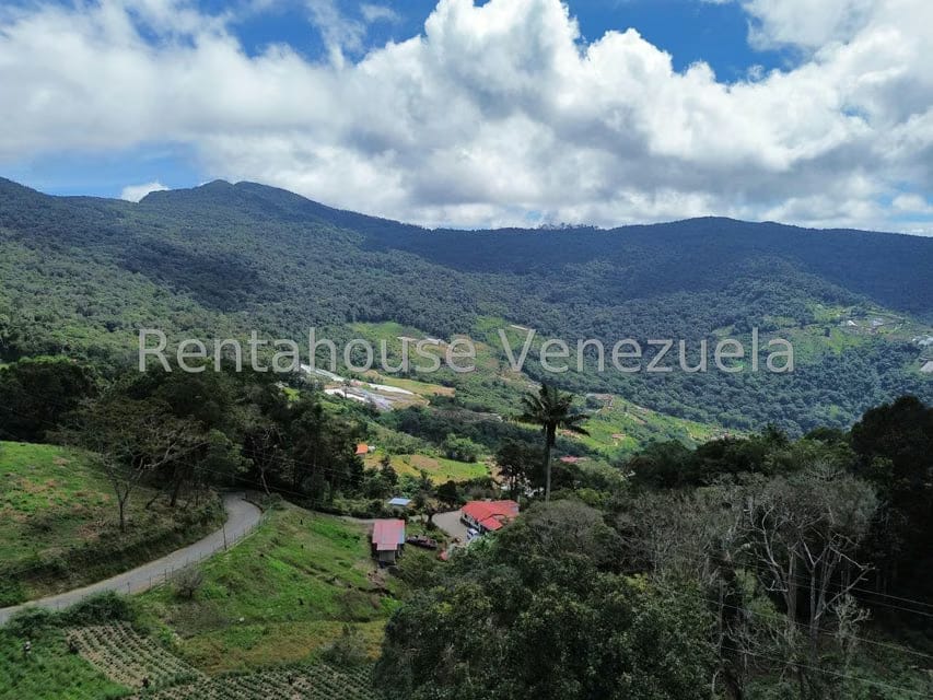 Terreno (Comercial) en Venta en La Colonia Tovar, Aragua - 51
