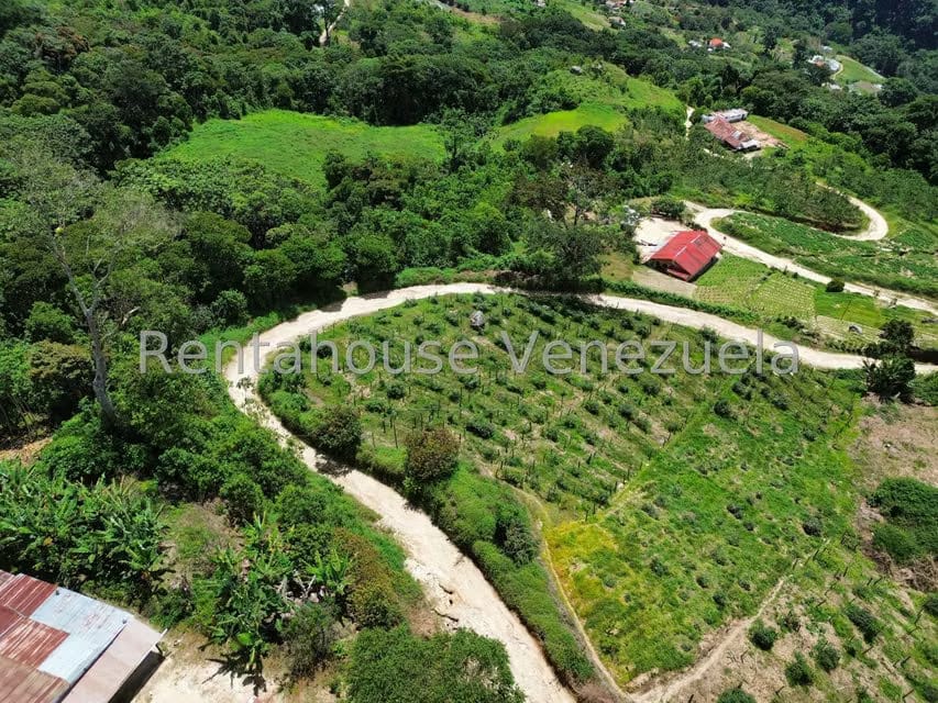 Terreno (Comercial) en Venta en La Colonia Tovar, Aragua - 52