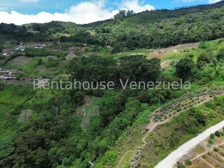 Terreno (Comercial) en Venta en La Colonia Tovar, Aragua - 53
