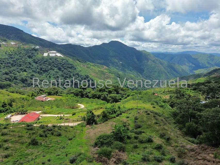 Terreno (Comercial) en Venta en La Colonia Tovar, Aragua - 54
