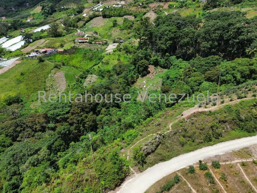 Terreno (Comercial) en Venta en La Colonia Tovar, Aragua - 56