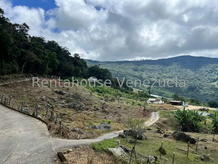 Terreno (Comercial) en Venta en La Colonia Tovar, Aragua - 7