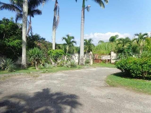Terreno (Comercial) en Venta en Manongo, Carabobo - 5