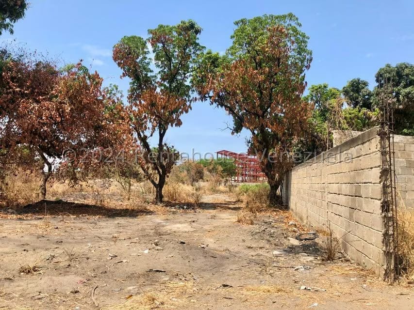 Terreno (Finca) en Venta en Los Frutales, Aragua - 2