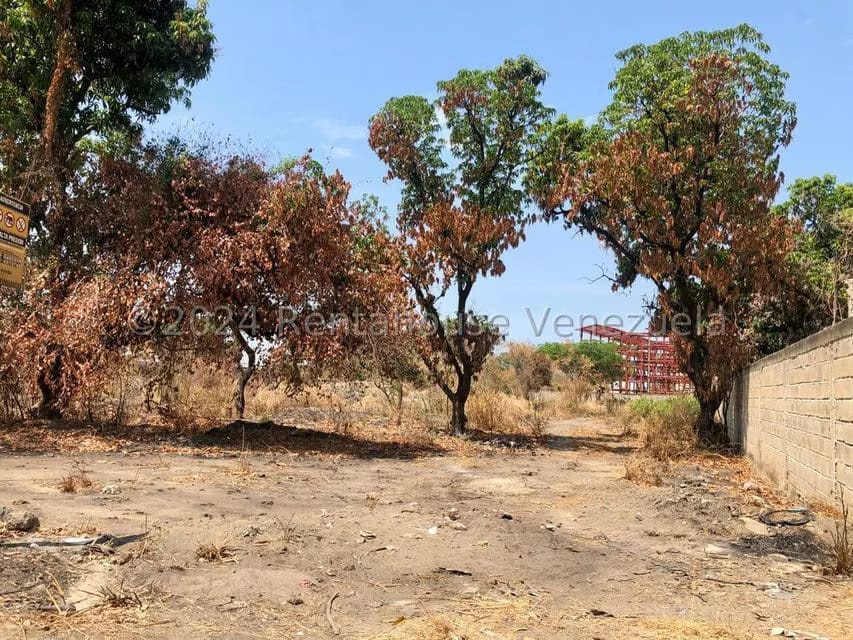 Terreno (Finca) en Venta en Los Frutales, Aragua - 3