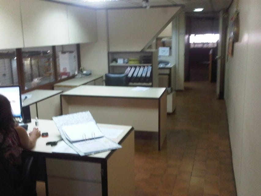 Comercial (Industrial) en Venta en Ruiz Pineda, Distrito Metropolitano - 13