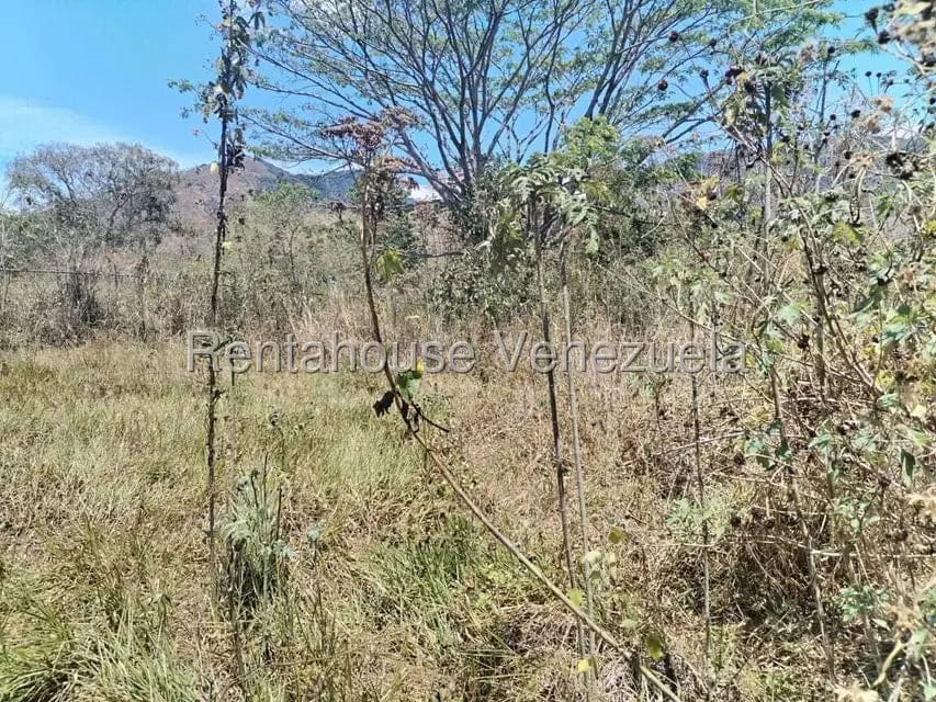 Terreno (Residencial) en Venta en Carialinda, Carabobo - 2