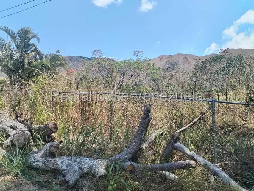 Terreno (Residencial) en Venta en Carialinda, Carabobo - 13