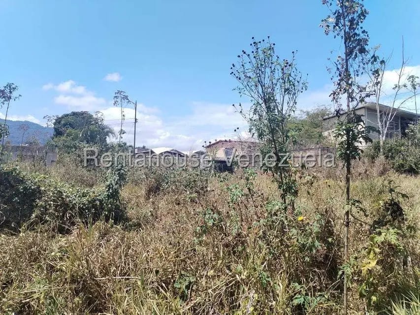 Terreno (Residencial) en Venta en Carialinda, Carabobo - 4