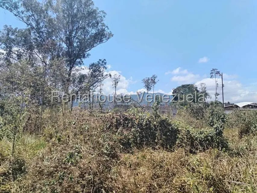 Terreno (Residencial) en Venta en Carialinda, Carabobo - 5