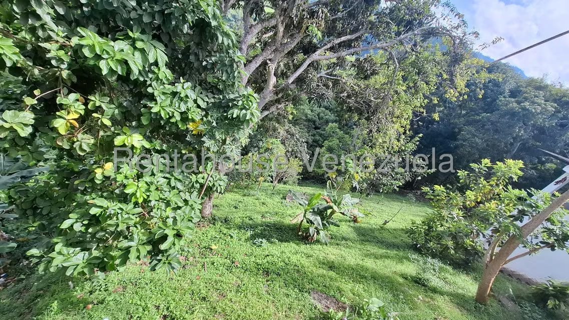 Casa (Casas de Campo) en Venta en Los Anaucos, Miranda - 43