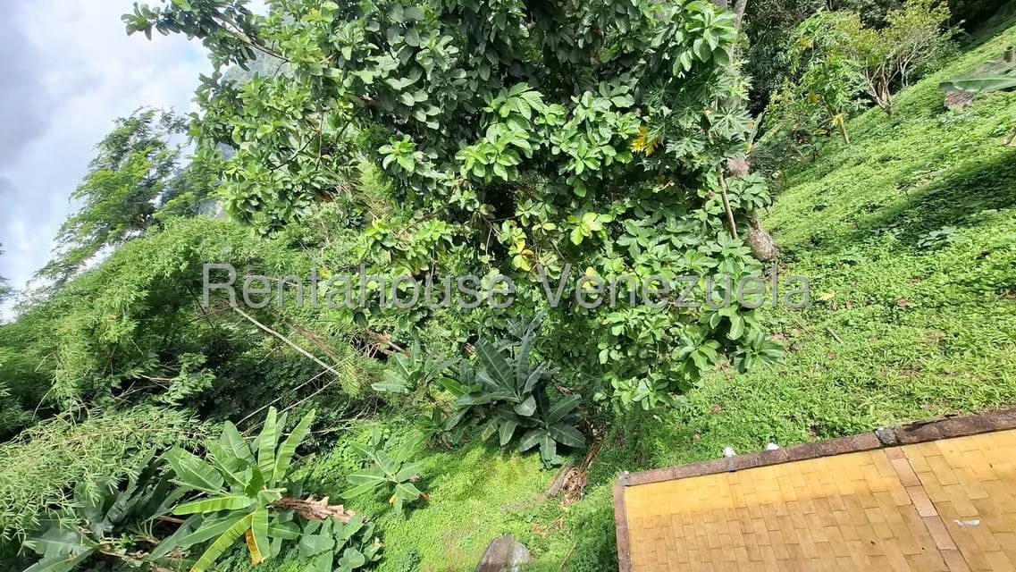 Casa (Casas de Campo) en Venta en Los Anaucos, Miranda - 44