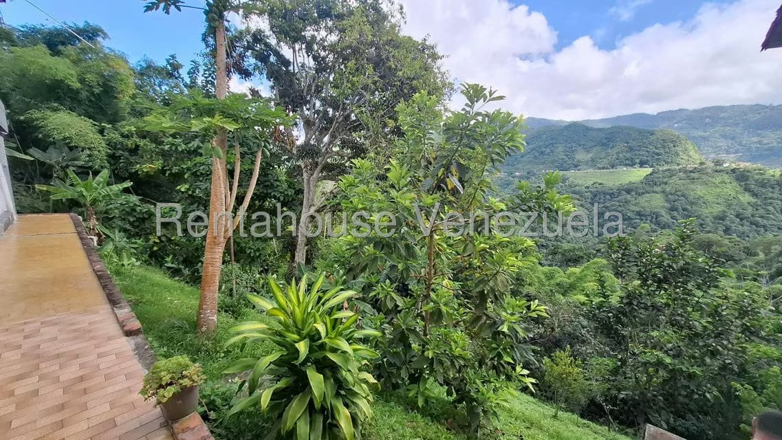 Casa (Casas de Campo) en Venta en Los Anaucos, Miranda - 45