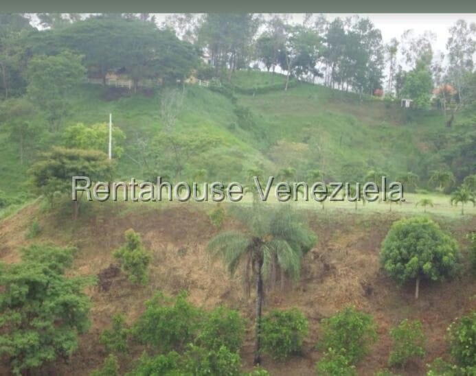 Terreno (Finca) en Venta en Hacienda el Naipe, Carabobo - 2