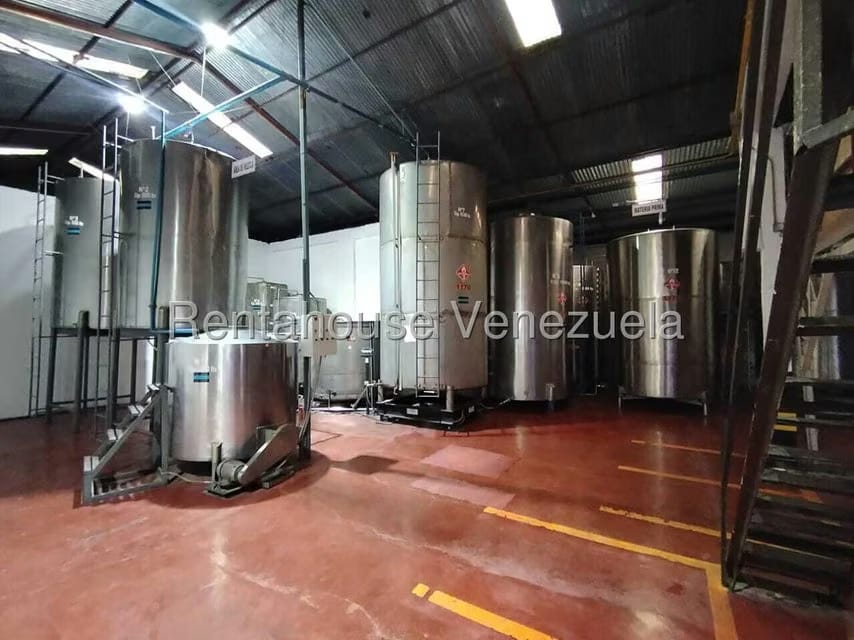 Negocios y Empresas (Alimentos y Bebidas) en Venta en Fundacion Mendoza, Lara - 12