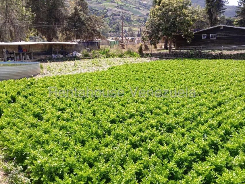 Casa (1 Nivel) en Venta en El Llano, Trujillo - 36