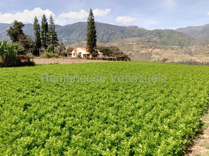 Casa (1 Nivel) en Venta en El Llano, Trujillo - 37