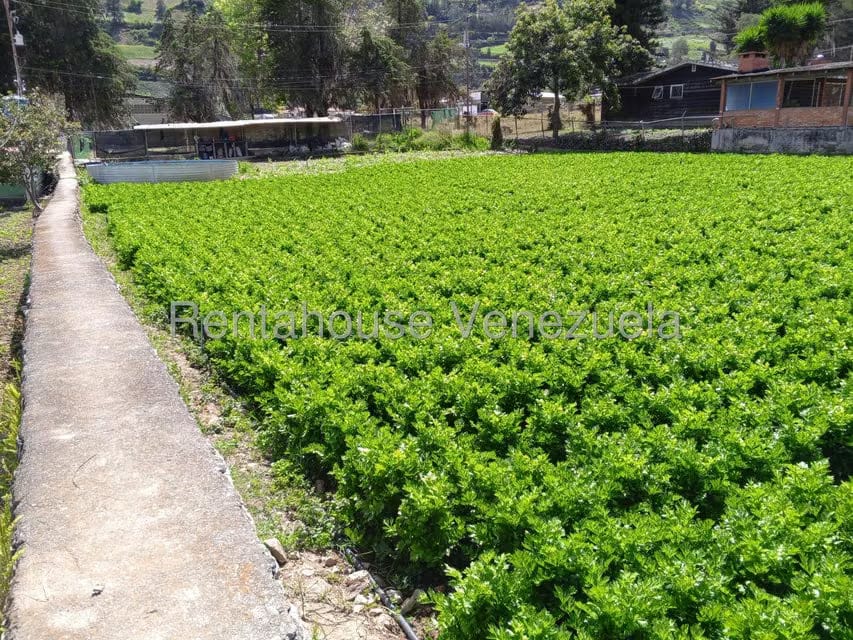 Casa (1 Nivel) en Venta en El Llano, Trujillo - 38