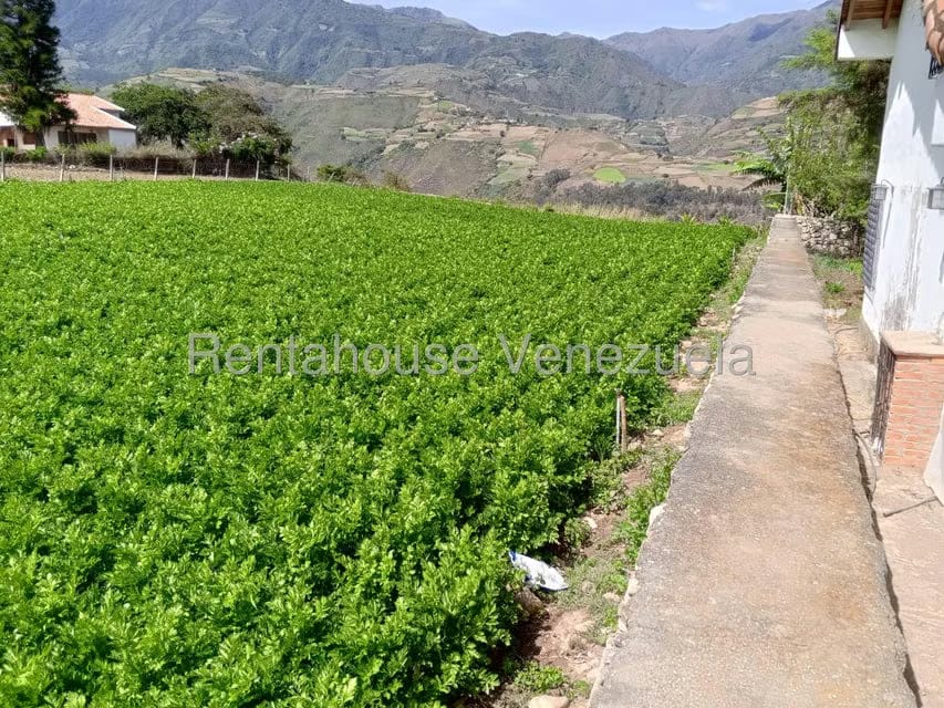 Casa (1 Nivel) en Venta en El Llano, Trujillo - 39