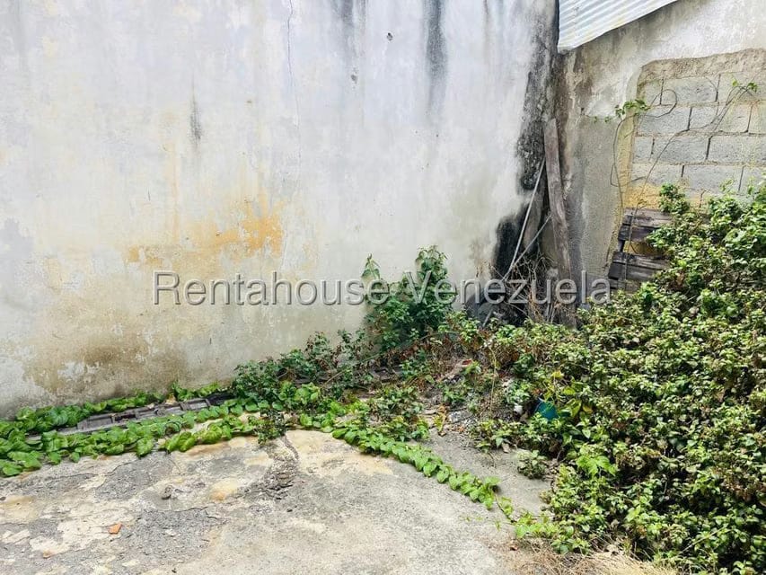 Comercial (Local Comercial) en Venta en Centro, Lara - 14