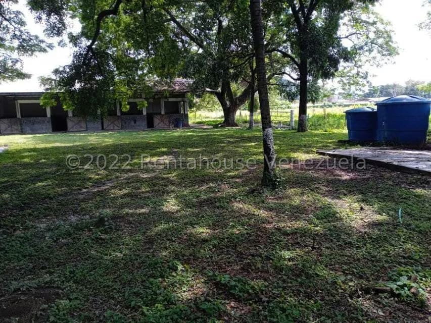 Terreno (Finca) en Venta en Corocito, Aragua - 6