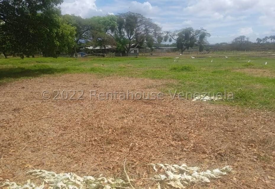 Terreno (Finca) en Venta en Corocito, Aragua - 7