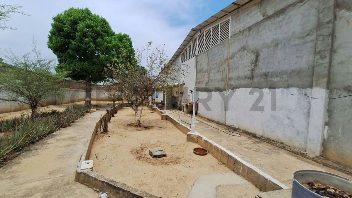 Complejo de Galpones en Cumaná Estado Sucre - 32