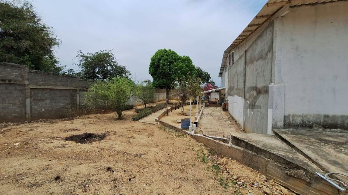 Complejo de Galpones en Cumaná Estado Sucre - 34