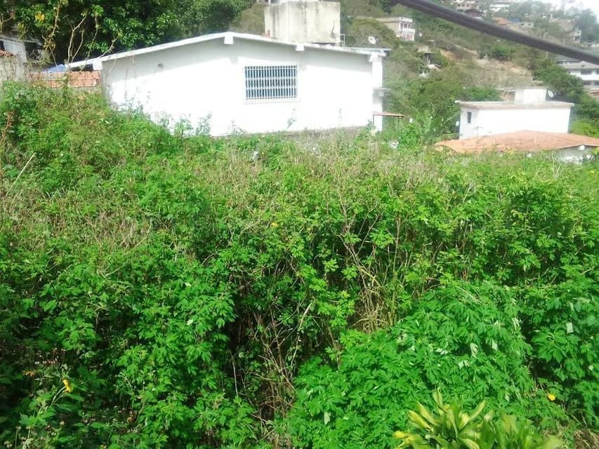Terreno (Residencial) en Venta en El Junquito, Distrito Metropolitano - 6