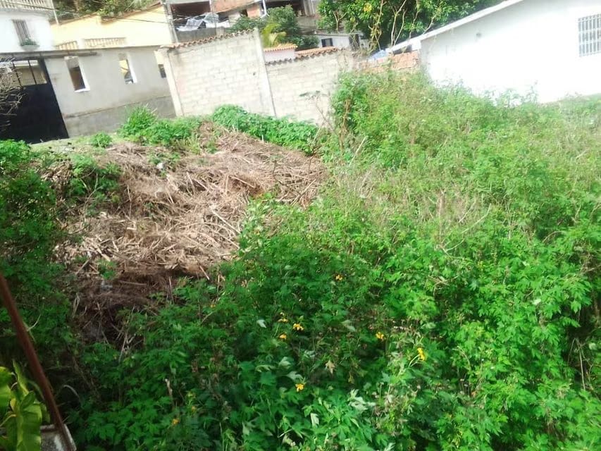 Terreno (Residencial) en Venta en El Junquito, Distrito Metropolitano - 7