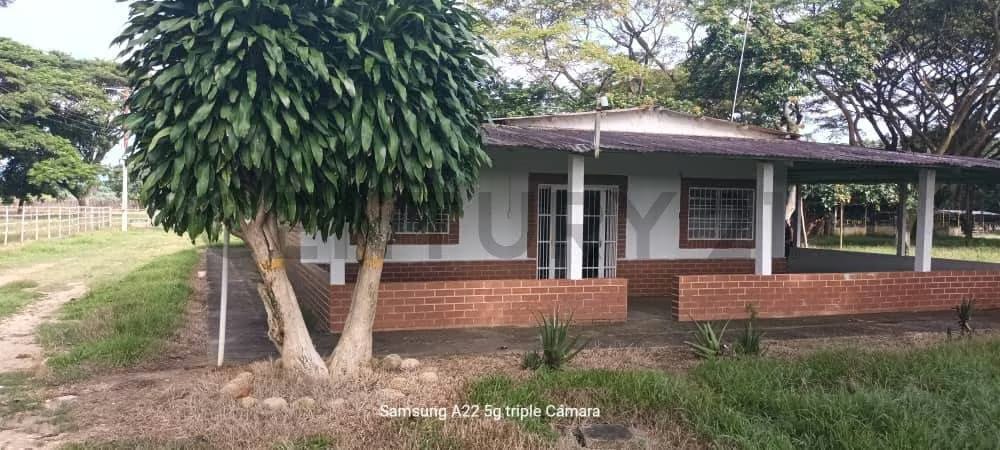 Venta de Finca Porcina - 2