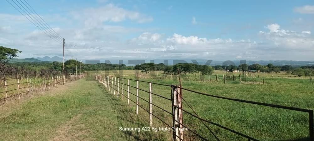 Venta de Finca Porcina - 3