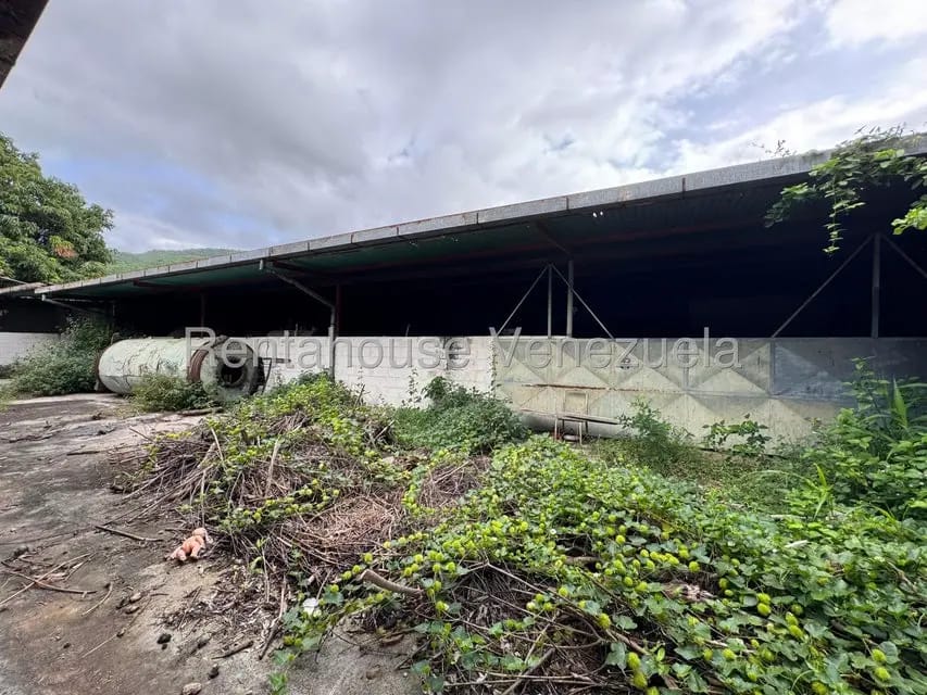 Comercial (Galpon - Deposito) en Venta en Alvarenga, Miranda - 28