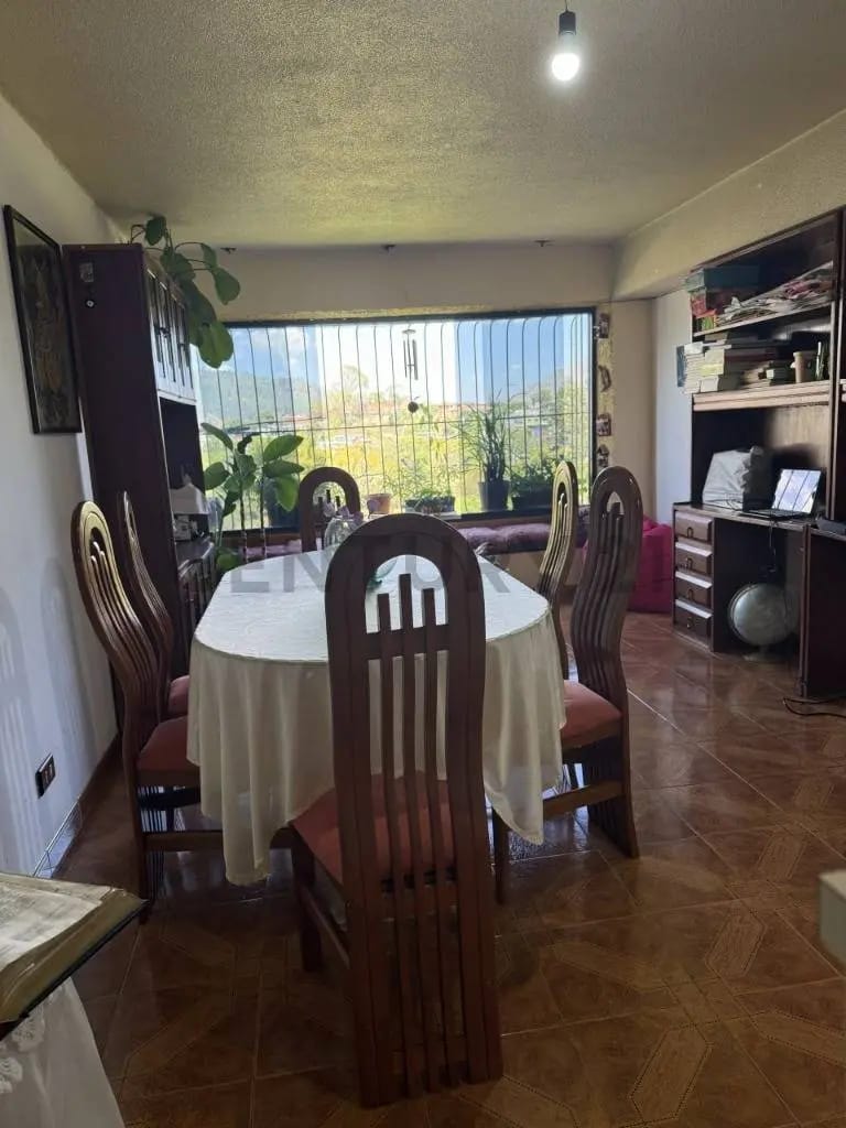 Apartamento Parque Knoop Calle Campo Elías Los Teques - 3