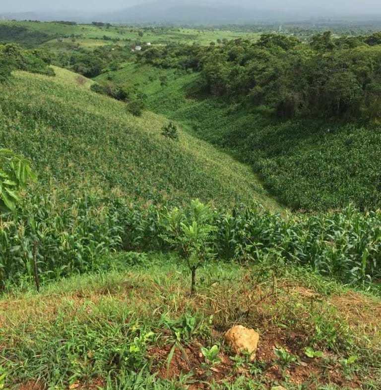 Finca agroturistica, Me voy del pais, negociando - 6