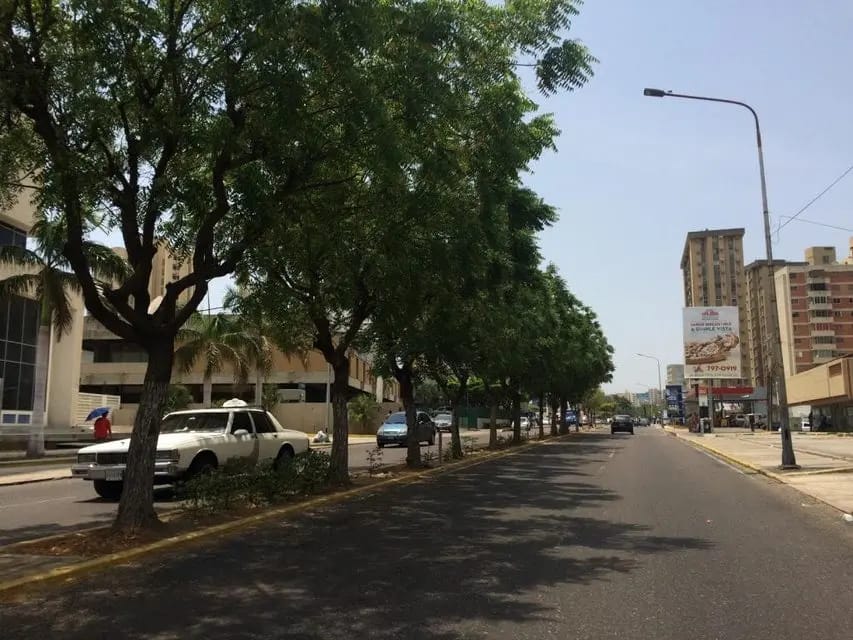 Comercial (Local Comercial) en Venta en Avenida Bella Vista, Zulia - 2