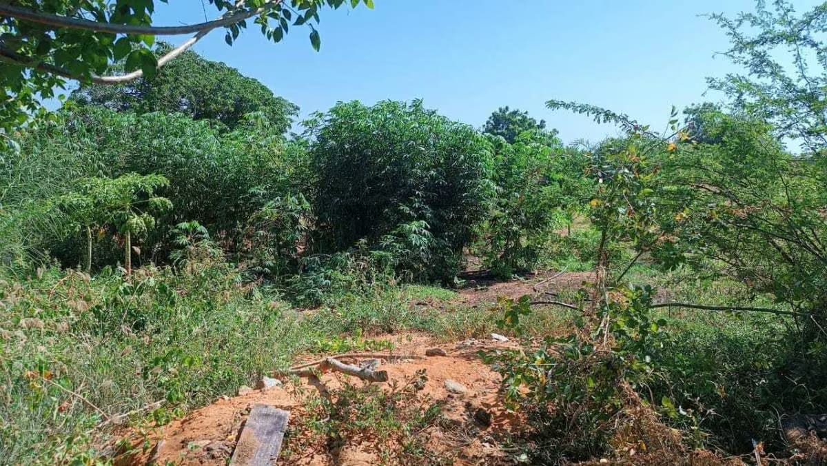 Terreno en excelente zona turística Guacuco - 17