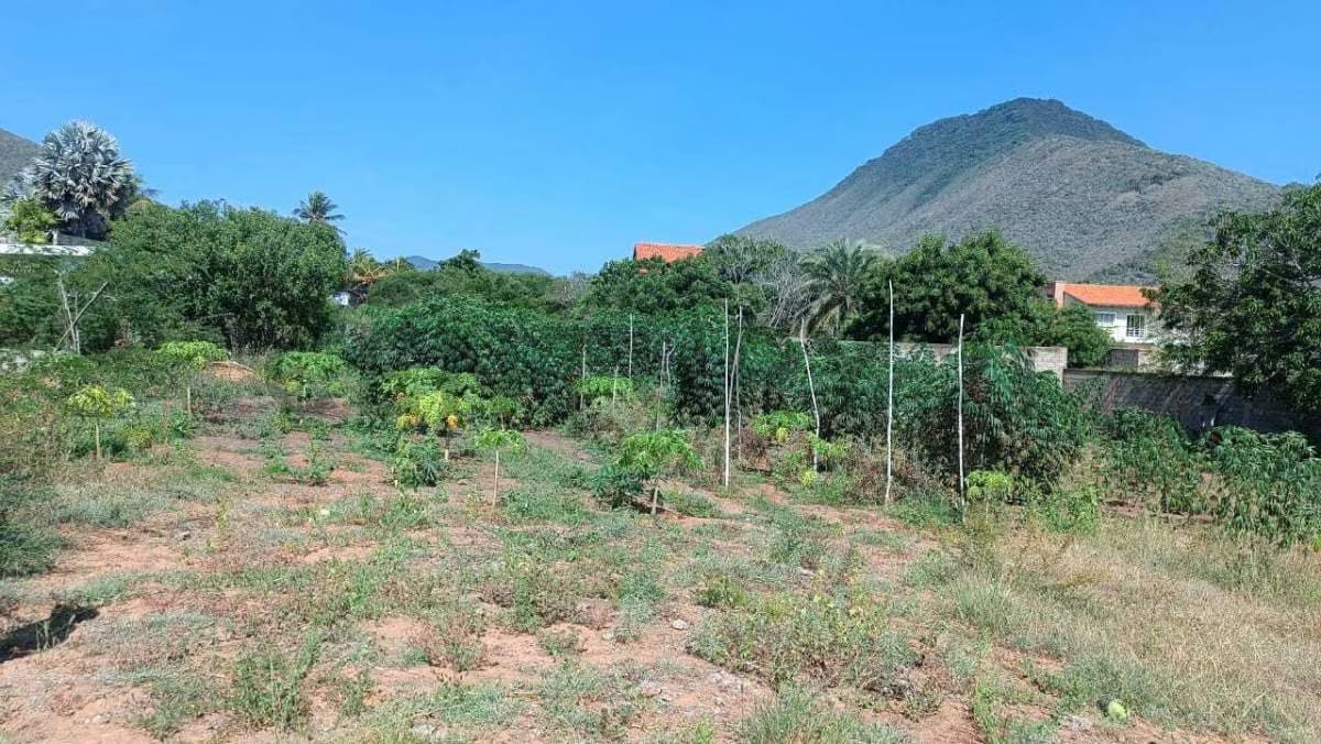Terreno en excelente zona turística Guacuco - 6