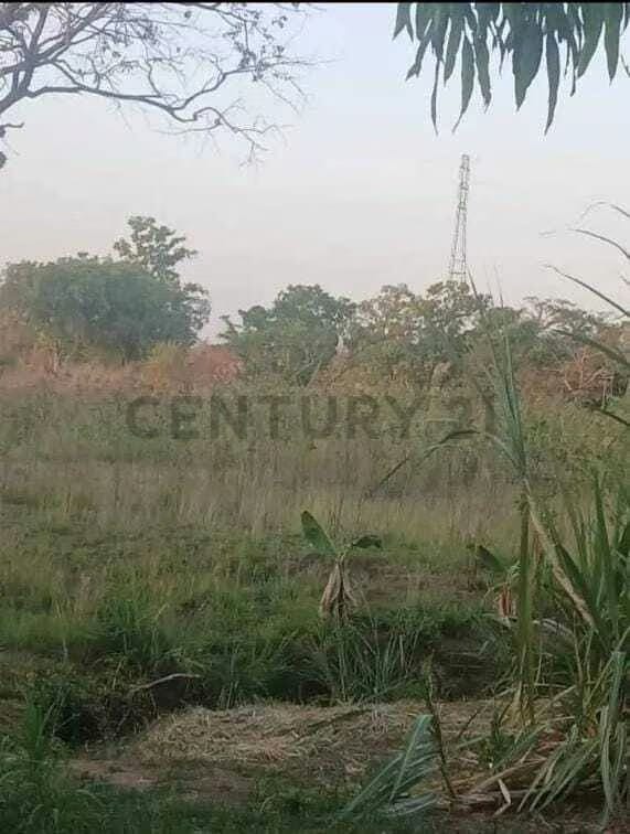 Venta de Finca - 3