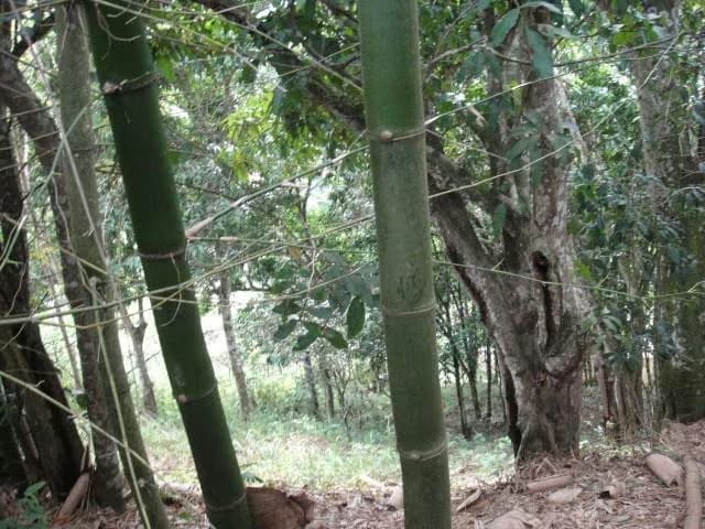 Terreno (Residencial) en Venta en El Hatillo, Distrito Metropolitano - 15