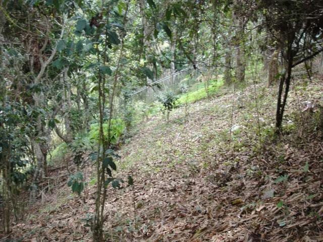 Terreno (Residencial) en Venta en El Hatillo, Distrito Metropolitano - 16