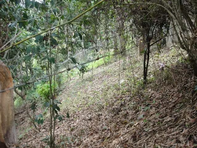 Terreno (Residencial) en Venta en El Hatillo, Distrito Metropolitano - 18