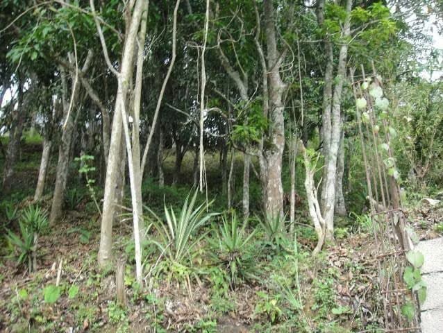 Terreno (Residencial) en Venta en El Hatillo, Distrito Metropolitano - 22