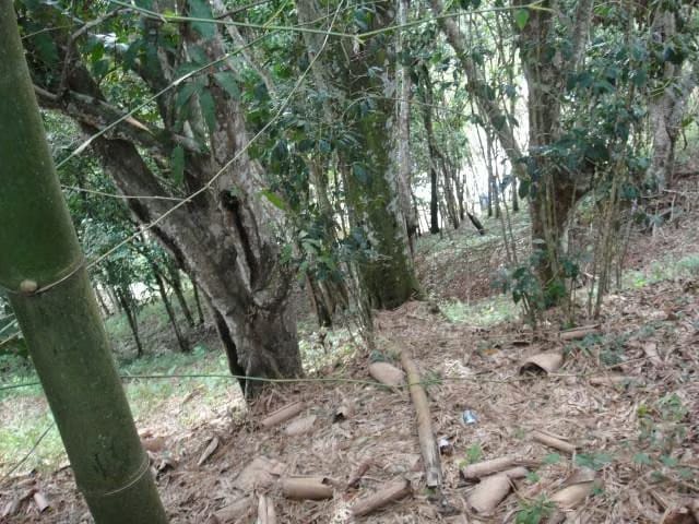 Terreno (Residencial) en Venta en El Hatillo, Distrito Metropolitano - 23