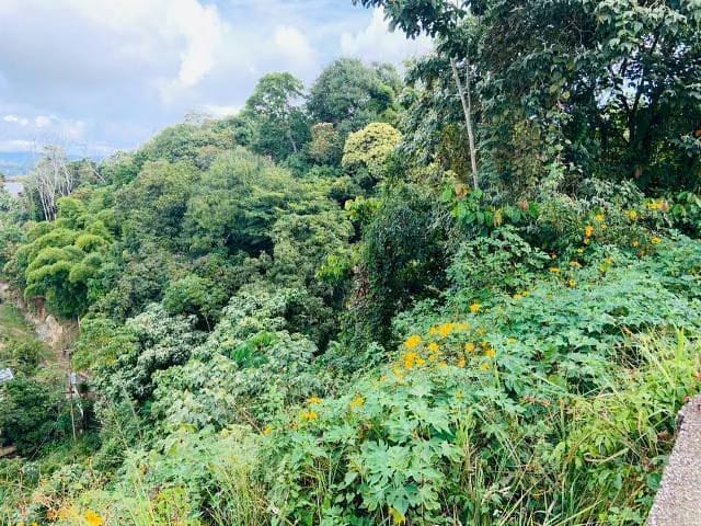 Terreno (Residencial) en Venta en El Hatillo, Distrito Metropolitano - 7