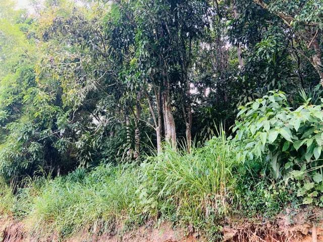 Terreno (Residencial) en Venta en El Hatillo, Distrito Metropolitano - 8