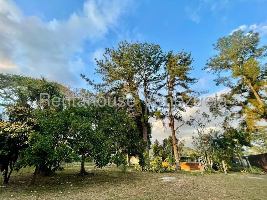 Casa (1 Nivel) en Venta en San Felipe, Yaracuy - 3
