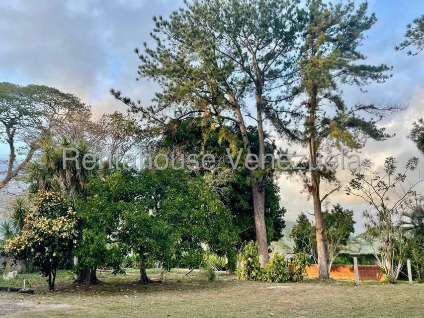 Casa (1 Nivel) en Venta en San Felipe, Yaracuy - 4